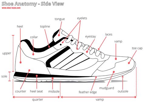 Shoe Anatomy Guide - 40+ Different Parts of a Shoe with Names & Images | Basic workout, Designer ...