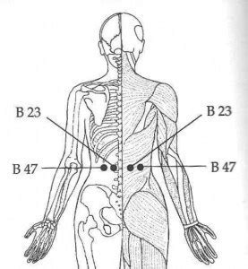 6 Self-acupressure points to relieve back pain - Blue Tree Massage