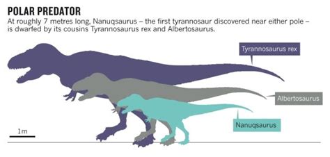 an image of the different types of dinosaurs