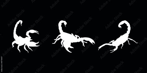 Scorpio icons in white color isolated on black background, vector ...