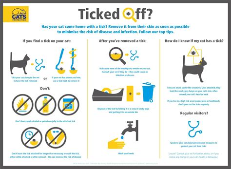 How to remove a tick from your cat