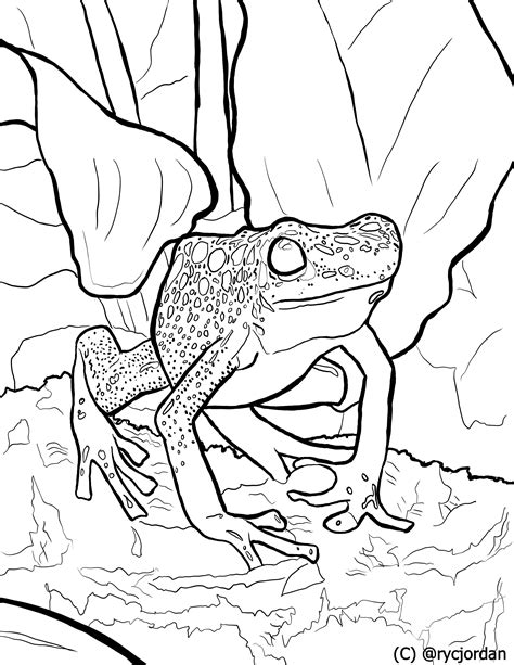 Poison Dart Frog Coloring Page