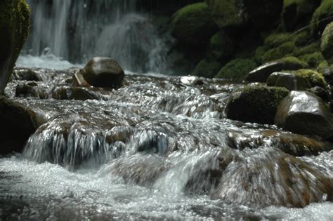 UC Davis Natural Reserves - Stebbins Cold Canyon