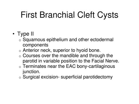 PPT - Branchial Cleft Cysts PowerPoint Presentation, free download - ID:259307