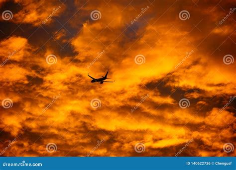Fort Lauderdale Airport in the Morning Stock Photo - Image of downtown, line: 140622736