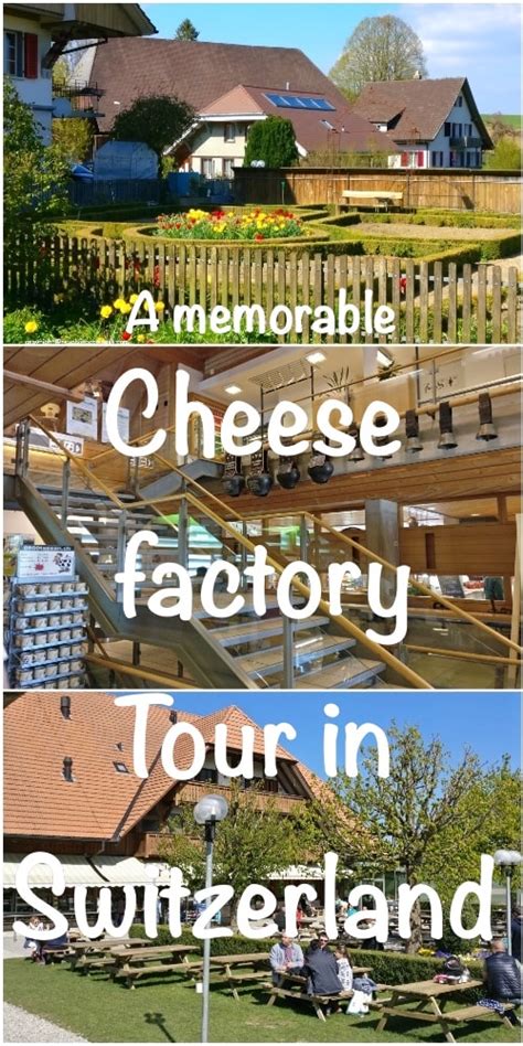 A cheese factory tour in Switzerland - The Revolving Compass