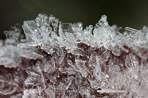 Frost crystals on leaves -- Macro in photography-on-the.net forums