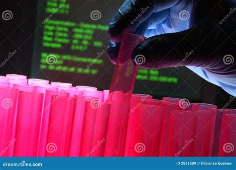 Laboratory Experiment in Science Research Lab Stock Image - Image of analysis, pharmaceutical ...