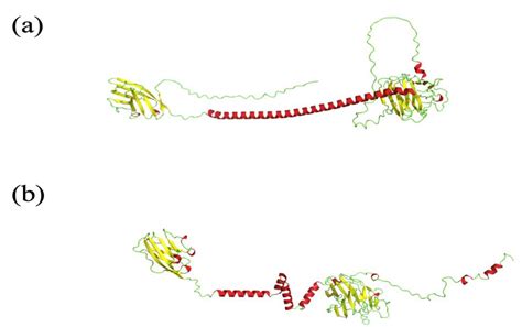 BioMedInformatics | Free Full-Text | AlphaFold2 Update and Perspectives