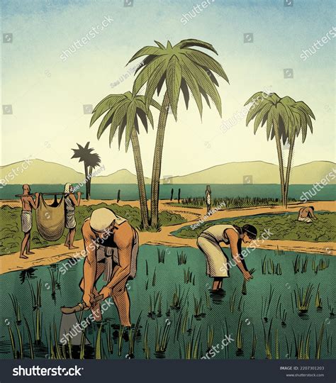 Ancient Egypt Agriculture Nile River Stock Illustration 2207301203 ...