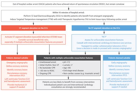 Cardiac Arrest: A Treatment Algorithm for Emergent Invasive Cardiac ...