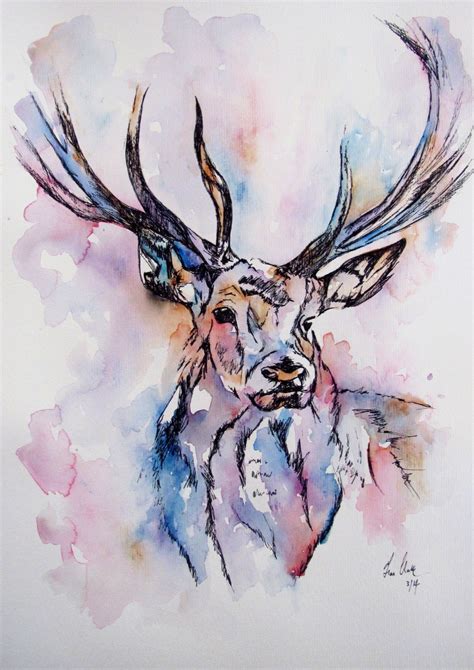 Colourful Deer illustration/ watercolor painting by fiona-clarke.com ...