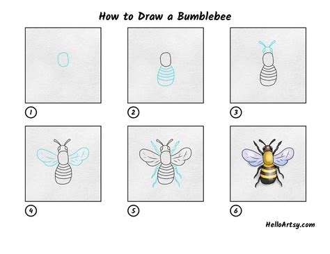 How to Draw a Bumblebee - HelloArtsy