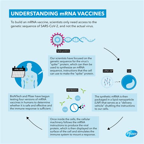 Pfizer and BioNTech Dose First Participants in the U.S. as Part of Global COVID-19 mRNA Vaccine ...