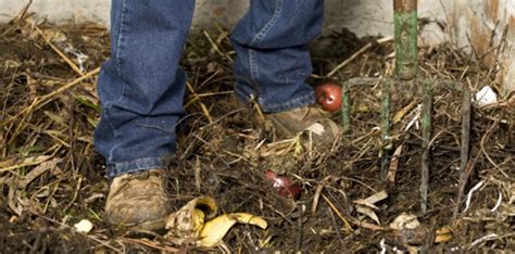 Composting Workshop | Wollongong Botanic Garden