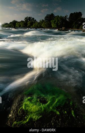 Kafue River rapids, Kafue National Park, Lusaka Province, Zambia Stock ...