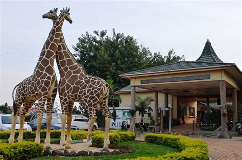 Promoting local tourism: Entebbe Zoo to reopen to local tourists with Standard Operating ...