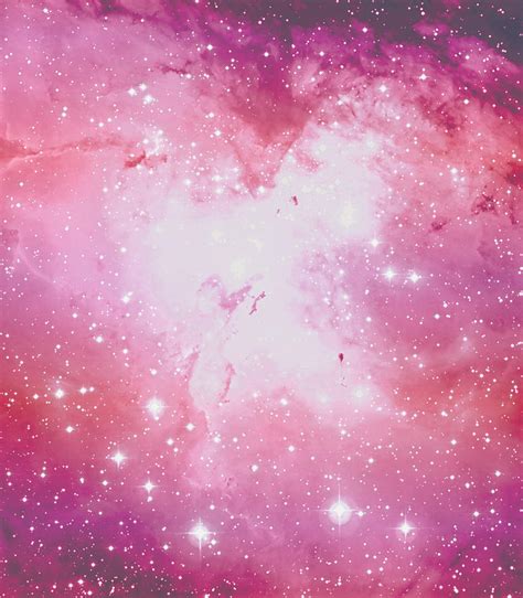 Soft Pink Stars Digital Art by Xica Co - Fine Art America