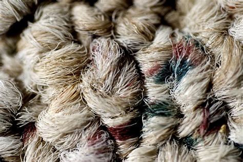 All About Wool Carpet and Rug Fibers