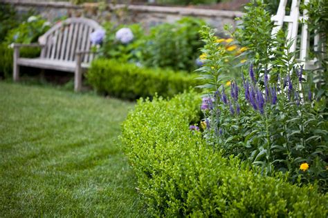 perennial border | Garden design, Boxwood landscaping, Boxwood garden