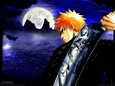 Bleach Anime