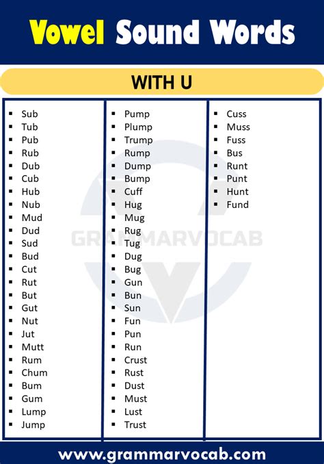 100 Examples of Short Vowel Sound Words - GrammarVocab