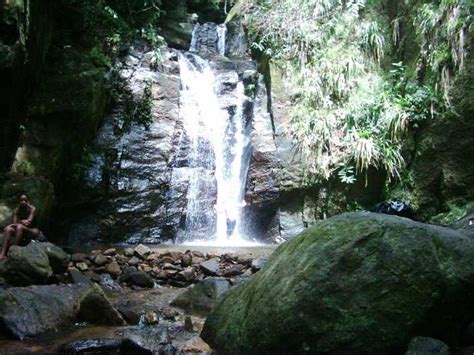 Rio: Tijuca Forest & Horto Waterfalls Circuit Tour | GetYourGuide