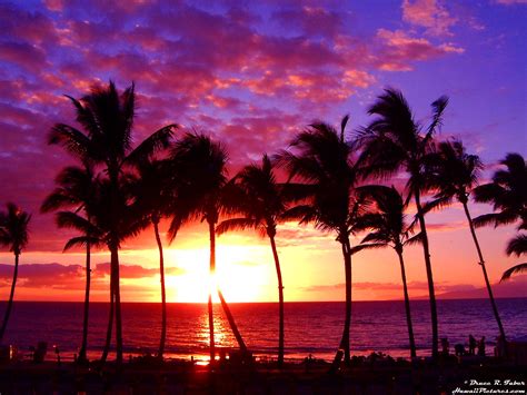 Maui | Beautiful Island Travel Information & Guide | World For Travel