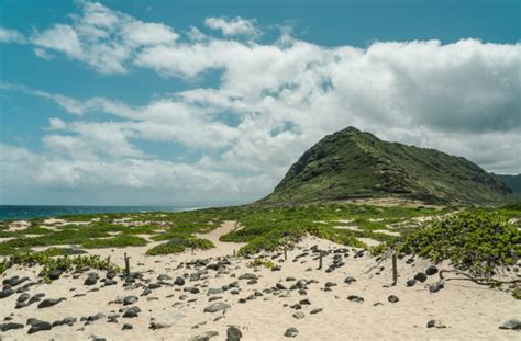 Snorkeling North Shore Oahu: The 8 Best Locations