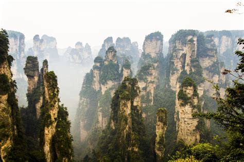 zhangjiajie national forest park china - Google Search | Forest park, National forest, Zhangjiajie