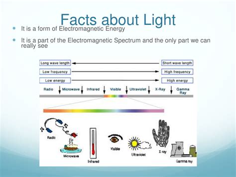 PPT - Light and Reflection PowerPoint Presentation, free download - ID:9599591