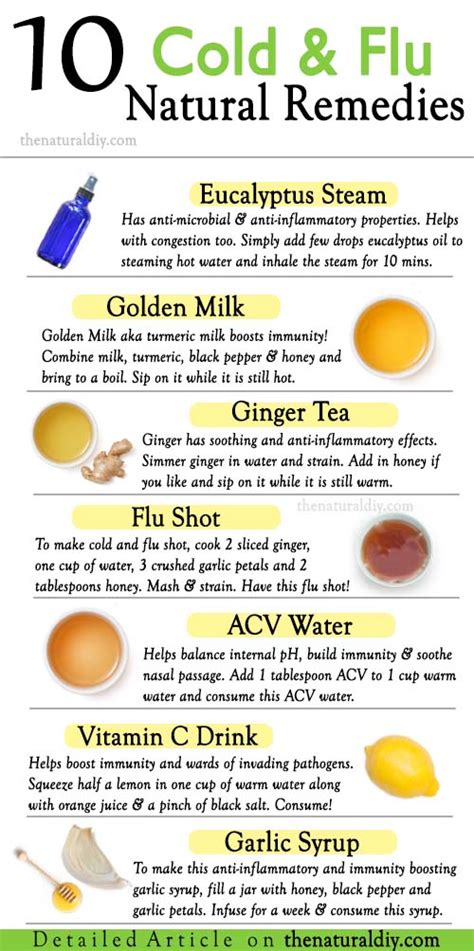 10 COLD AND FLU REMEDIES - The Natural DIY