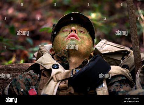 Marines patrol through the forest of Camp Geiger, N.C. during patrol ...