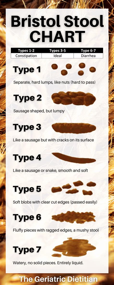 Bristol Stool Chart PDF | Bristol stool chart, Stool, Mushy stool