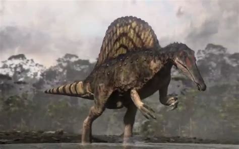 Spinosauridae | Dinopedia | FANDOM powered by Wikia