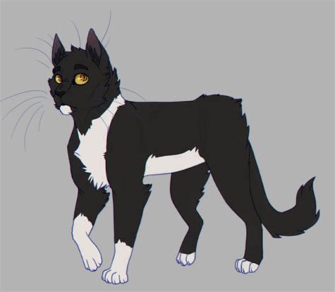 Crowfrost | Warrior cat oc, Warrior cats art, Warrior cat names