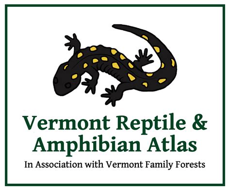 T-sirtalis feisty & flared CS | Vermont Reptile and Amphibian Atlas