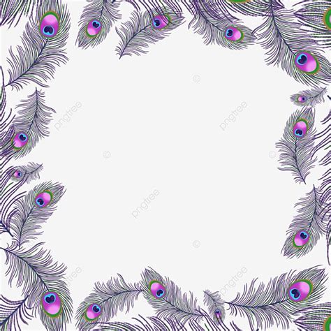 Peacock Feather Border PNG Transparent, Blue Purple Peacock Feather ...