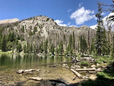 Star Hope Creek Dispersed Camping in Salmon-Challis National Forest, Mackay Idaho. See 1 ...