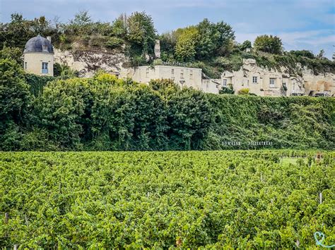 Vineyards and wines of the Loire Valley (how to find your way around!)