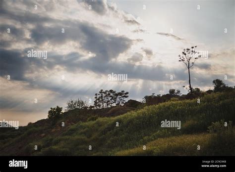 Landscape beautiful sunset over the green hill Stock Photo - Alamy