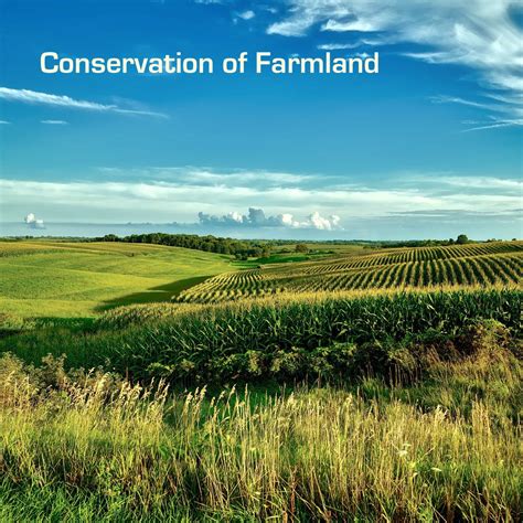 Conservation of Farmland - B4place