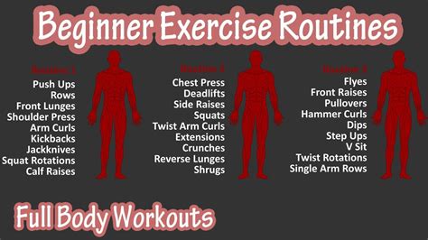 Beginner Full Body Exercise Routines Workouts - Basic Exercises Workout For Beginners At Home ...