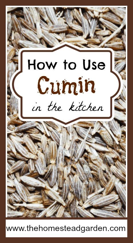 The Spice Series: How to Use Cumin in the Kitchen | Cumin recipes, Cumin, Cumin spice