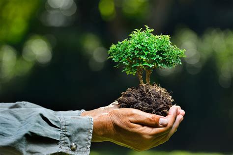 Embrace the Power of Environmental Biotechnology | Blog