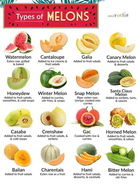 16 Different Types of Melon and What You Can do With Them | Eten recepten, Eet gezond, Eten en ...