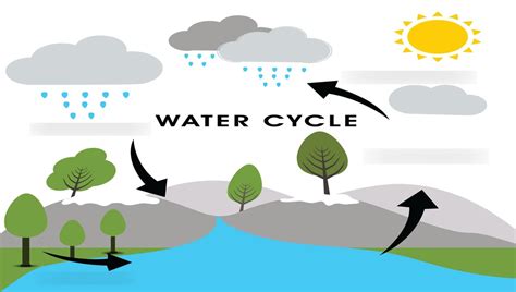 Water Cycle Diagram | Quizlet