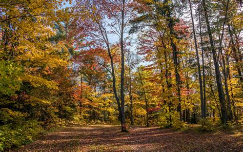 233-Ontario-Fall-Foliage » I've Been Bit! Travel Blog