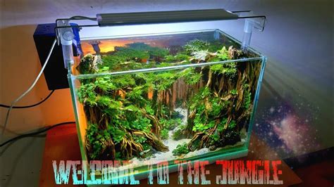 Step by Step Aquascape Tema Jungle (REUPLOAD) - YouTube | Aquascape ...