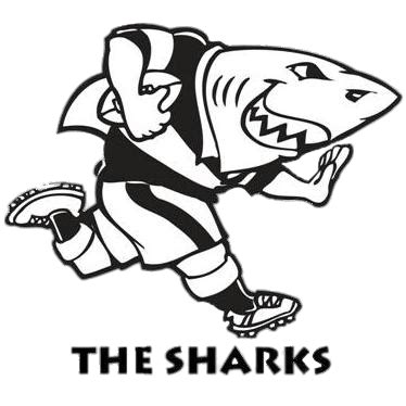 Sharks Rugby Logo Transparent Png Stickpng | The Best Porn Website